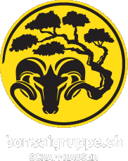 Bonsaigruppe Schaffhausen